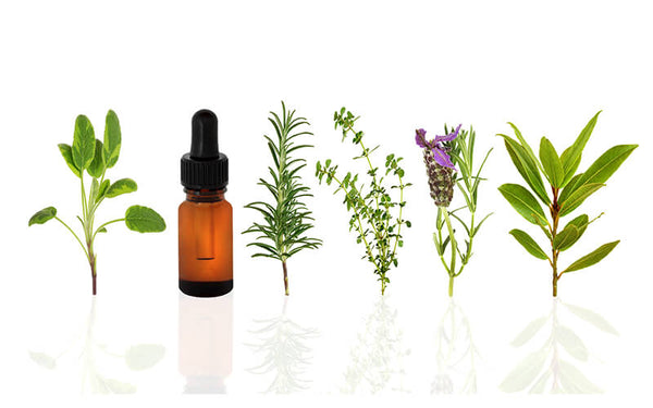 Essential Oils for Headaches ~ Seven Minerals
